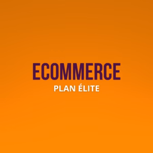 Plan Élite: Escala, SEO Avanzado y Automatización