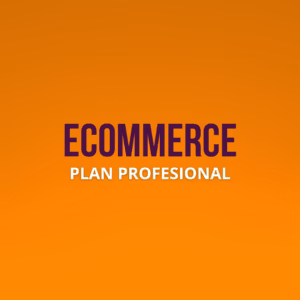 Plan Profesional: Crecimiento y Tráfico Digital